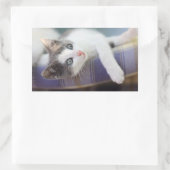 Zoet Kat in speldenstaaf Rechthoekige Sticker (Tas)