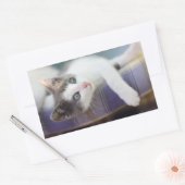 Zoet Kat in speldenstaaf Rechthoekige Sticker (Envelop)