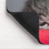Zoet kat muismat (Hoek)