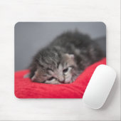 Zoet kat muismat (Met muis)