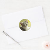 Zoet Kittengezicht Ronde Sticker (Envelop)