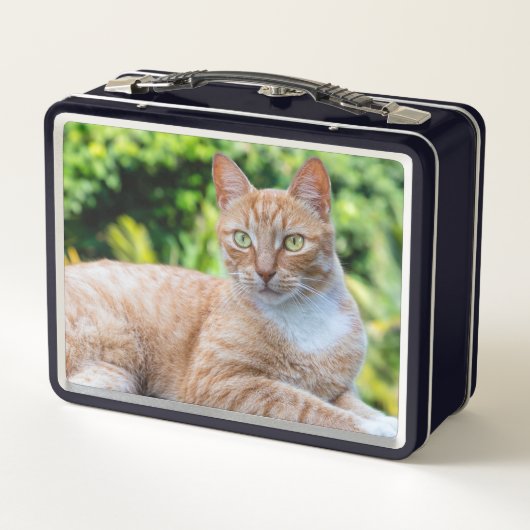 Zoet klein kat (Achterkant)