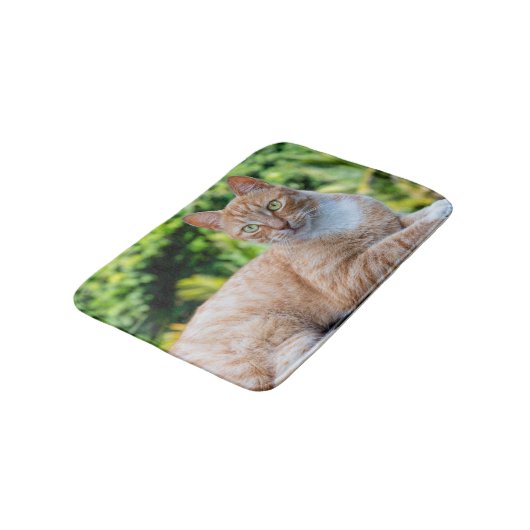 Zoet klein kat badmat (Gekanteld)