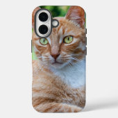 Zoet klein kat Case-Mate iPhone case (Achterkant)