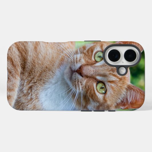 Zoet klein kat Case-Mate iPhone case (Achterkant (horizontaal))