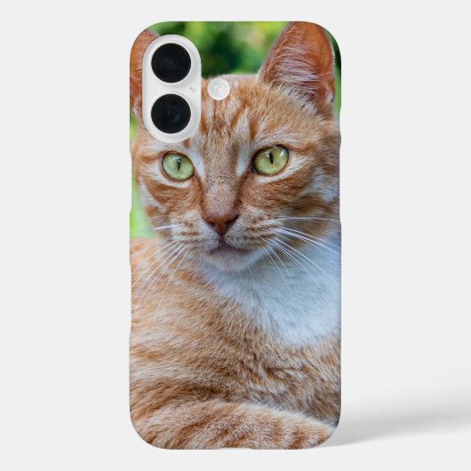 Zoet klein kat Case-Mate iPhone case (Achterkant)