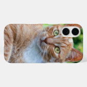 Zoet klein kat Case-Mate iPhone case (Achterkant (horizontaal))