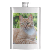 Zoet klein kat flacon (Voorkant)