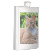 Zoet klein kat flacon (Rechts)