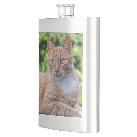Zoet klein kat flacon (Links)