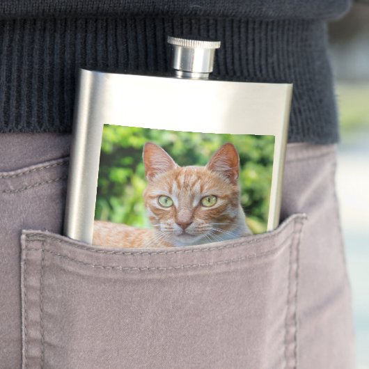 Zoet klein kat flacon (Voorbeeld)