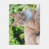 Zoet klein kat fleece deken (Voorkant)