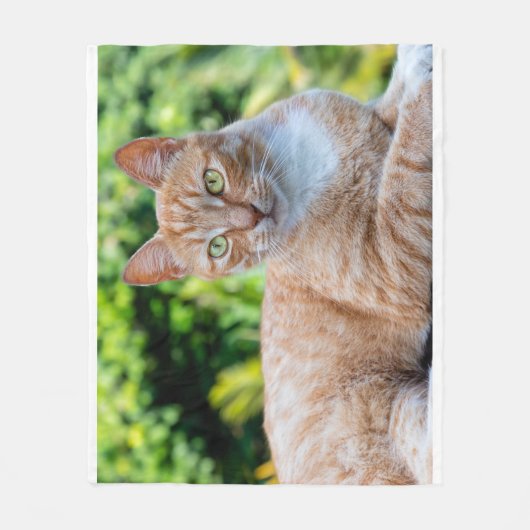 Zoet klein kat fleece deken (Voorkant)