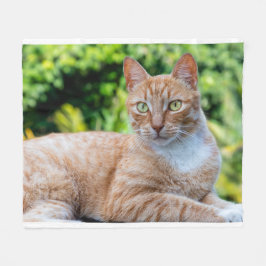 Zoet klein kat fleece deken