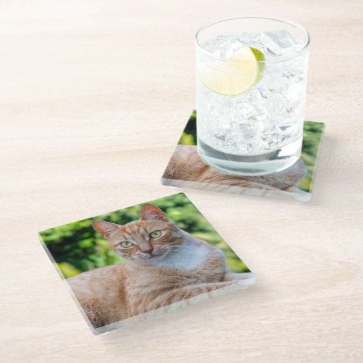 Zoet klein kat glazen onderzetter (Schuin)