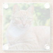 Zoet klein kat glazen onderzetter (Achterkant)