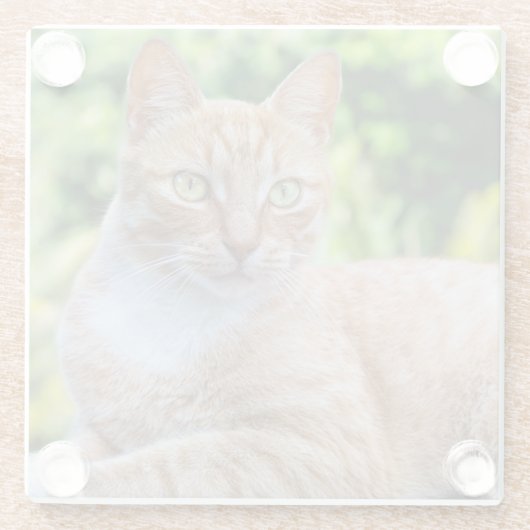 Zoet klein kat glazen onderzetter (Achterkant)