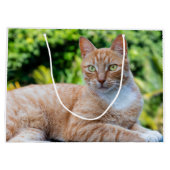 Zoet klein kat groot cadeauzakje (Achterkant)