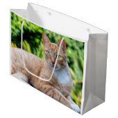 Zoet klein kat groot cadeauzakje (Voorkant Gekanteld)