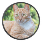 Zoet klein kat hockey puck (Voorkant)