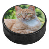 Zoet klein kat hockey puck (3/4)