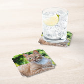 Zoet klein kat kartonnen onderzetters (Insitu)