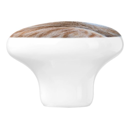 Zoet klein kat keramische knop (Zijkant)