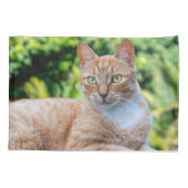 Zoet klein kat kussensloop (Achterkant)