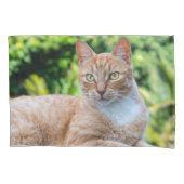 Zoet klein kat kussensloop (Voorkant)