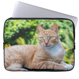 Zoet klein kat laptop sleeve