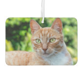 Zoet klein kat luchtverfrisser (Achterkant)