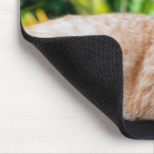 Zoet klein kat muismat (Hoek)