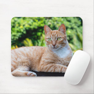 Zoet klein kat muismat