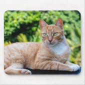 Zoet klein kat muismat (Voorkant)