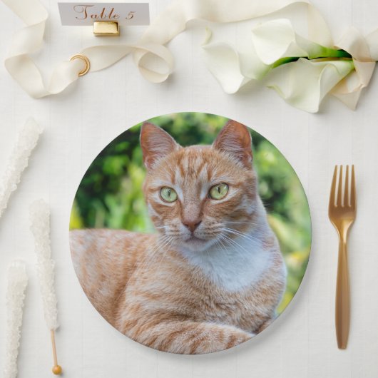 Zoet klein kat papieren bordje (Huwelijk)