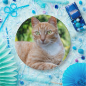 Zoet klein kat papieren bordje (Feest)