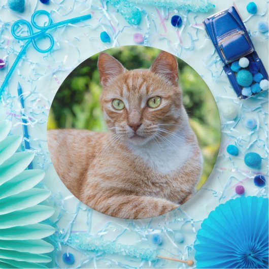 Zoet klein kat papieren bordje (Feest)