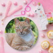 Zoet klein kat papieren bordje (Feest)