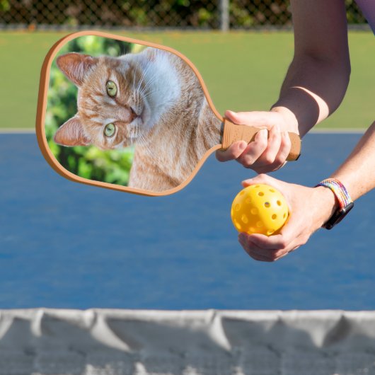 Zoet klein kat pickleball paddle (Insitu)
