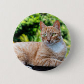 Zoet klein kat ronde button 5,7 cm (Voorkant)