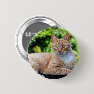 Zoet klein kat ronde button 5,7 cm