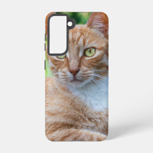 Zoet klein kat samsung galaxy hoesje