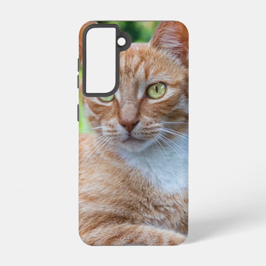 Zoet klein kat samsung galaxy hoesje (Achterkant)