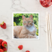 Zoet klein kat servet (Insitu)