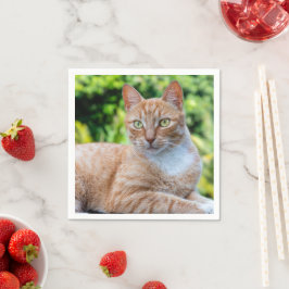 Zoet klein kat servet