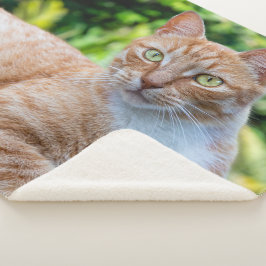 Zoet klein kat sherpa deken