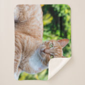 Zoet klein kat sherpa deken (Voorkant)