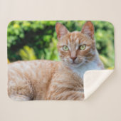 Zoet klein kat sherpa deken (Voorkant (horizontaal))