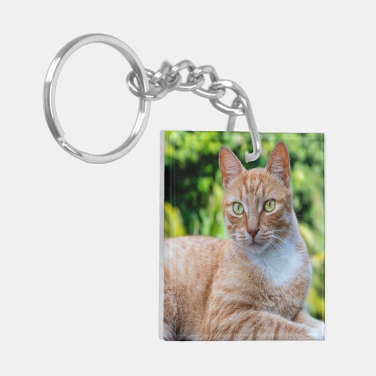 Zoet klein kat sleutelhanger (Voorkant Links)