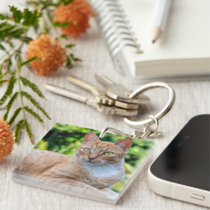 Zoet klein kat sleutelhanger